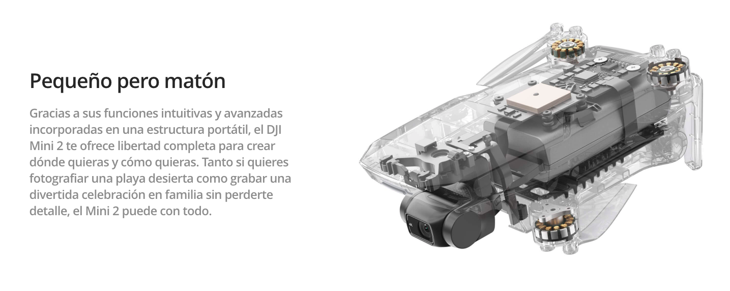 DJI MIni 2