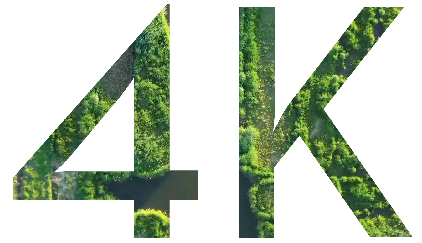 DJI MINI 2
