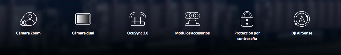 MAVIC 2 ENTERPRISE