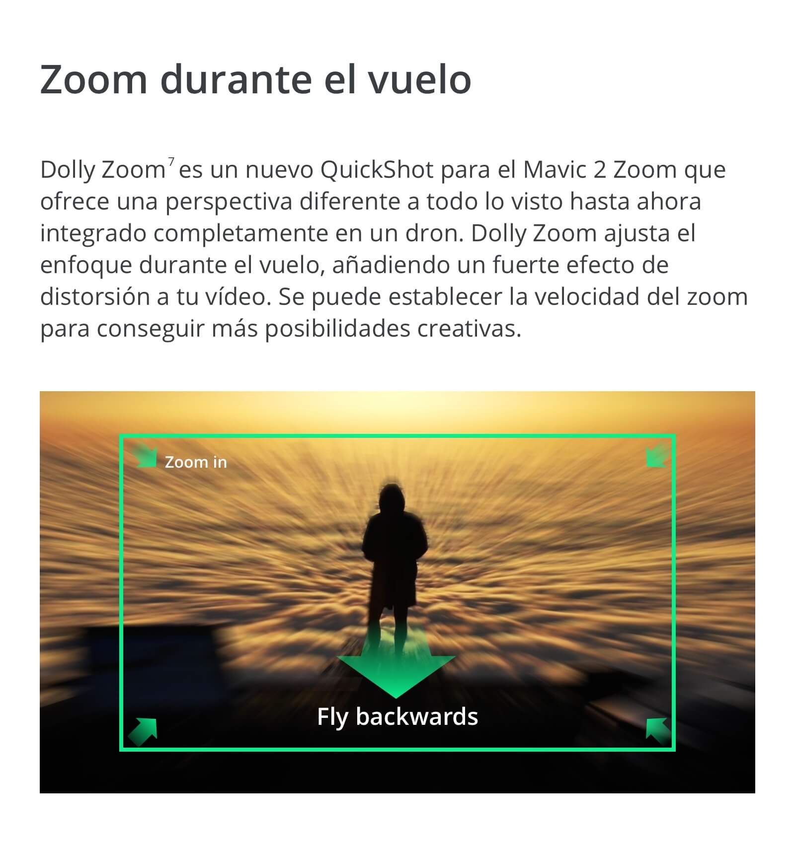 DJI MAVIC 2 PRO
