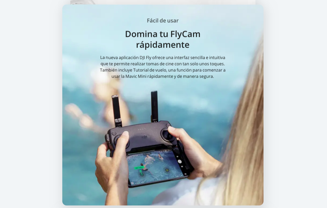 MAVIC MINI