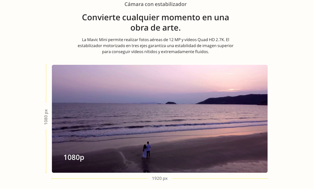 MAVIC MINI