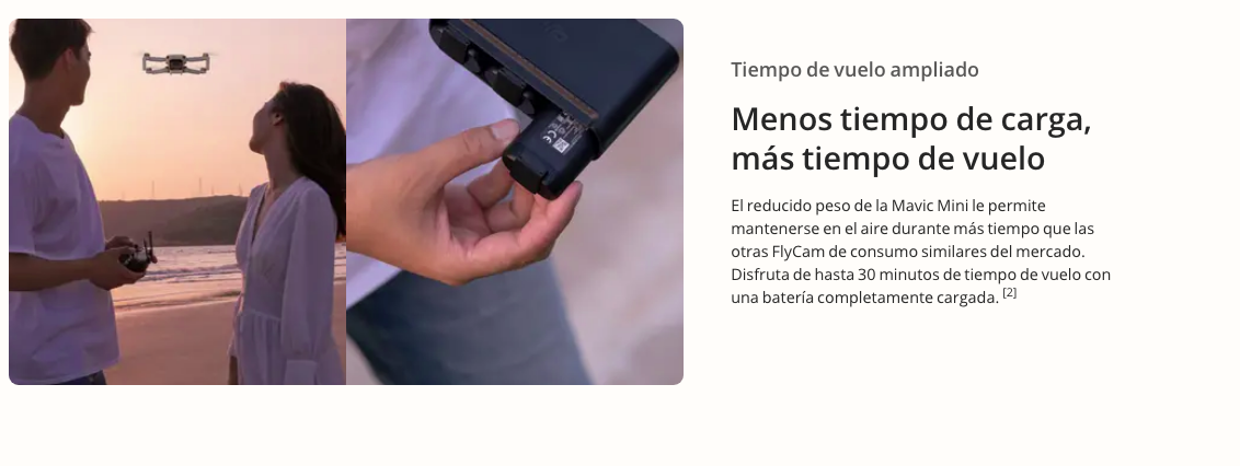 MAVIC MINI