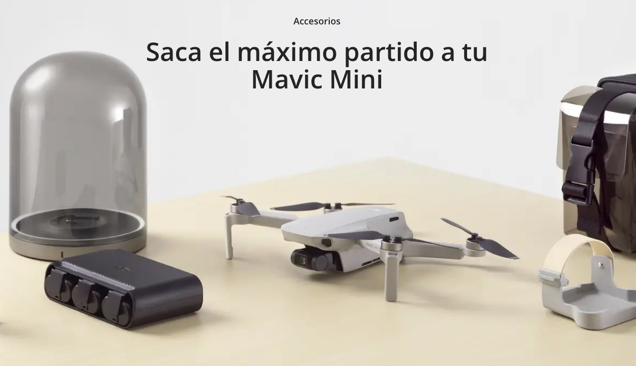 MAVIC MINI