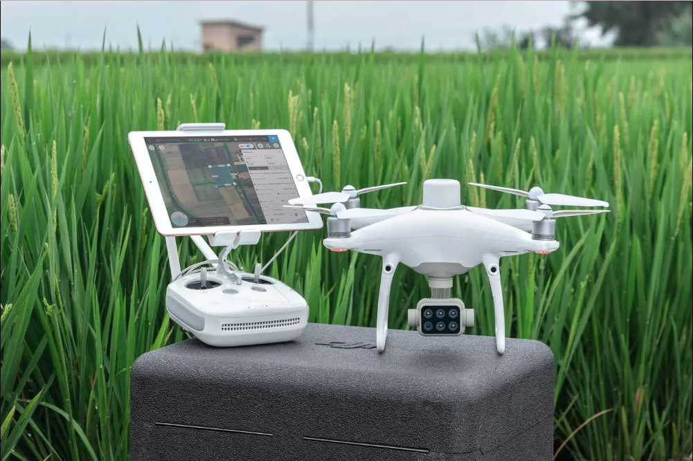 DJI P4 MULTIESPECTRAL