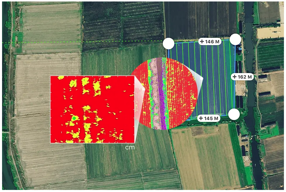 DJI P4 MULTIESPECTRAL