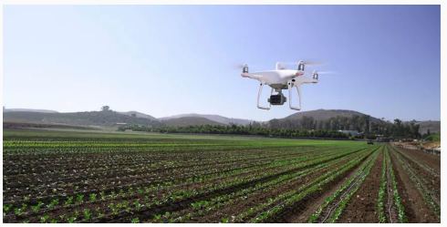 DJI P4 MULTIESPECTRAL