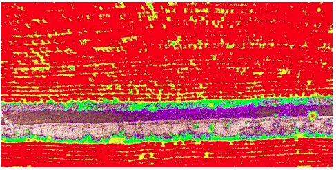 DJI P4 MULTIESPECTRAL