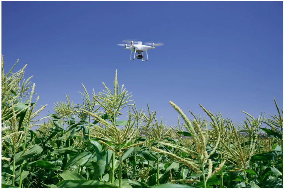 DJI P4 MULTIESPECTRAL