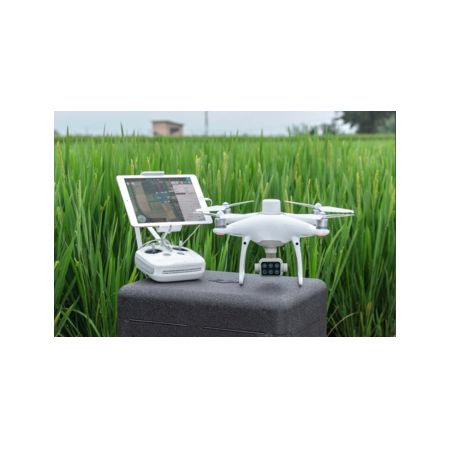 DJI P4 MULTIESPECTRAL