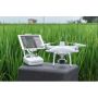 DJI P4 MULTIESPECTRAL